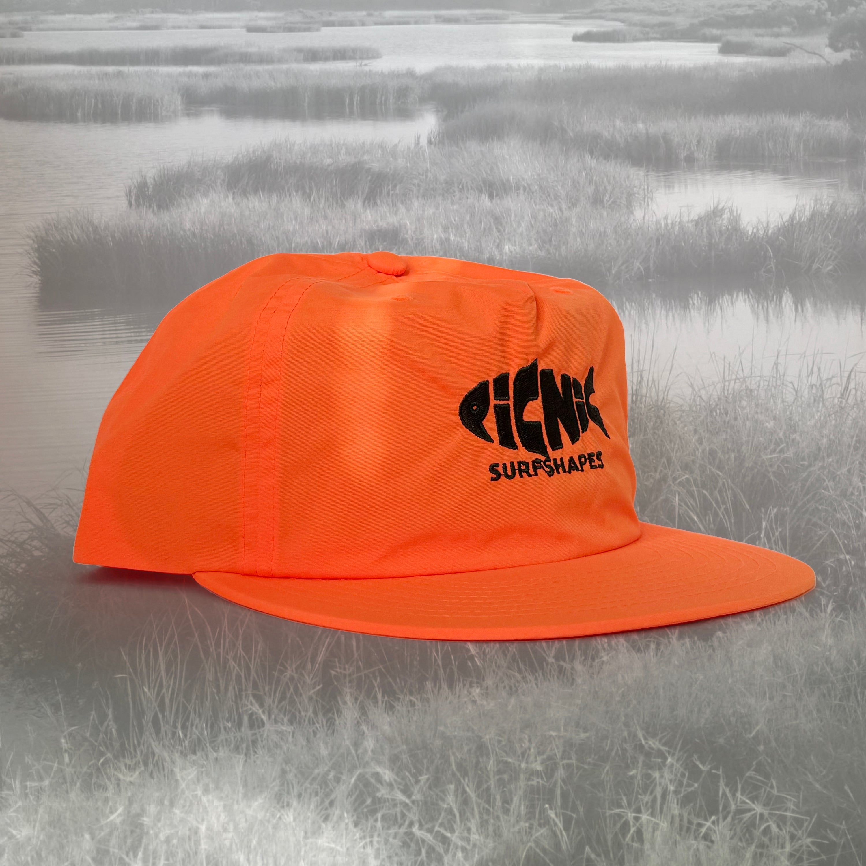 FISHES (IN THE FIELD)