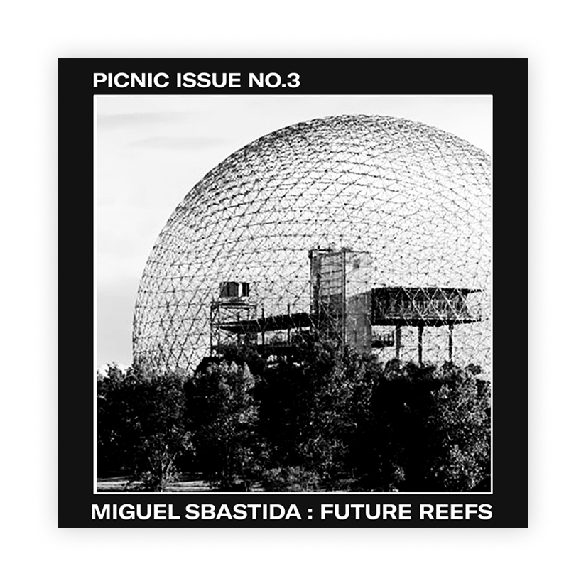 PICNIC ISSUE No.3