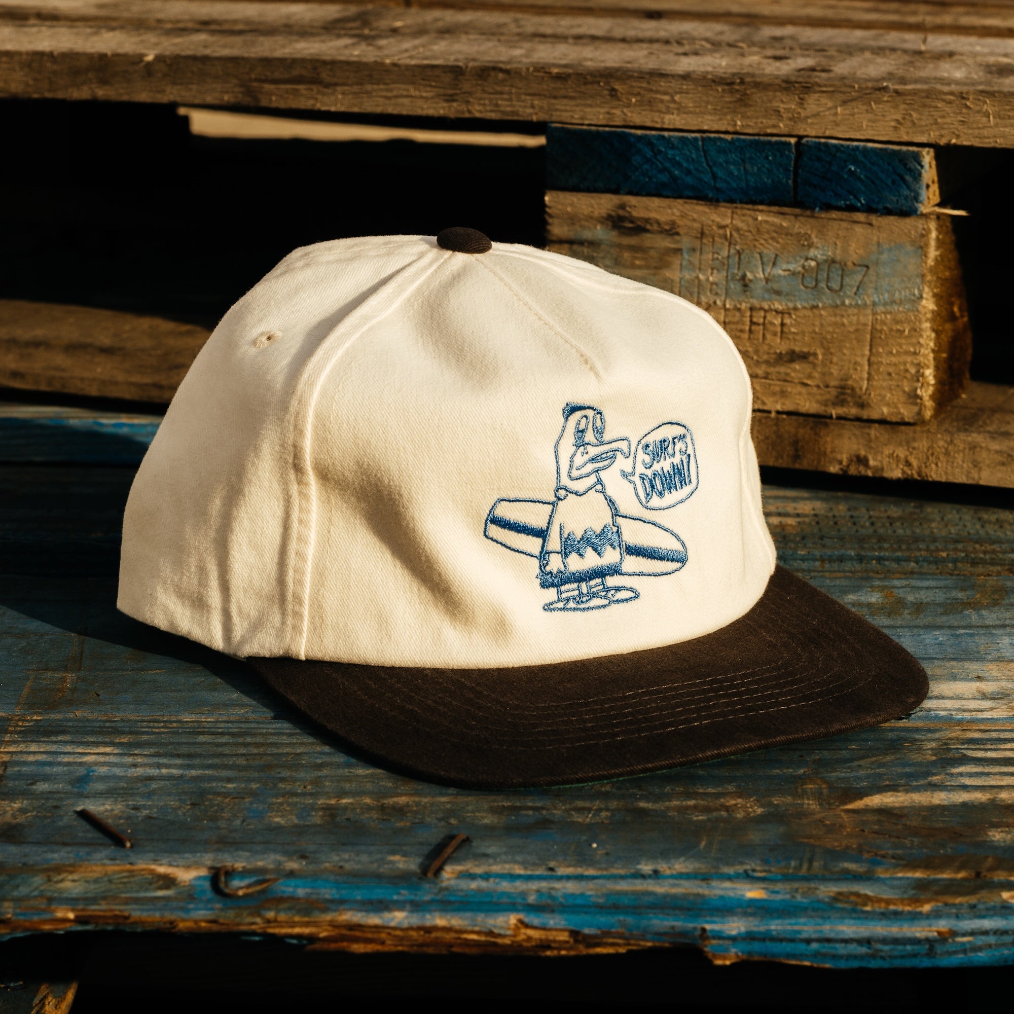 SURF'S DOWN